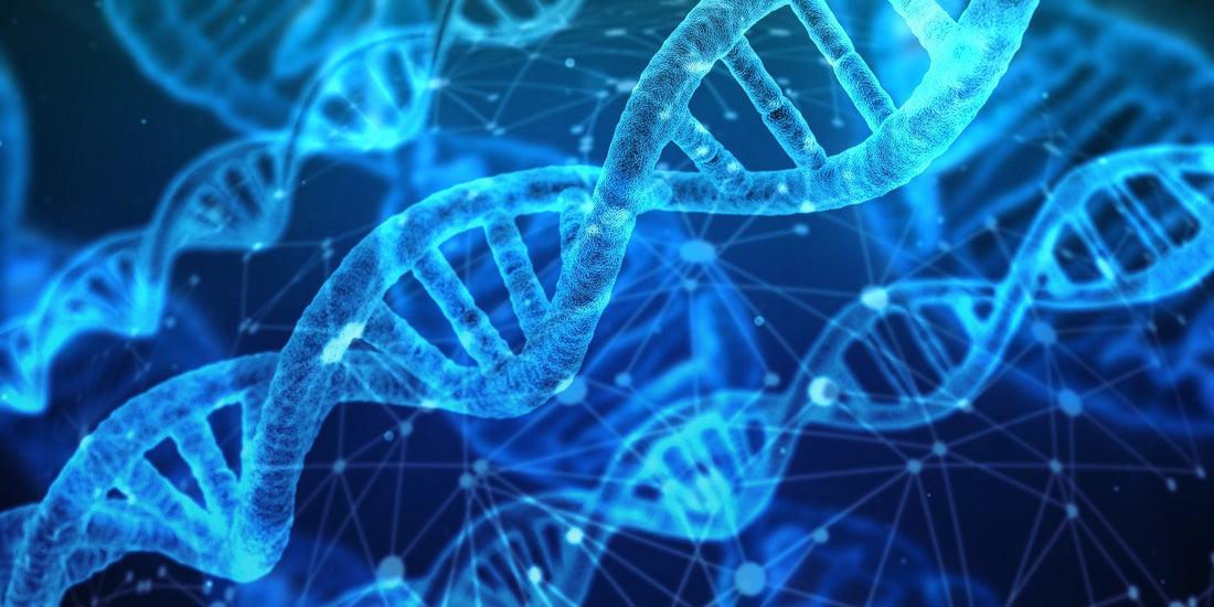 Decoding the Blueprint of Life: Unraveling the Wonders of DNA