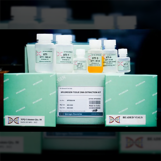 Genomic DNA Extraction Kit: Animal Tissue