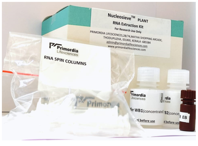 Nucleosieve® Plant RNA Extraction Kit