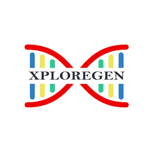 Gel Extraction Kit Xploregen